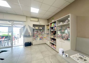 Interno non residenziale - Bar Tavola Calda - Fredda via Sant'Alberto, 364, Ravenna - foto 4