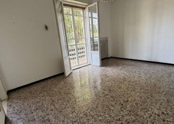 Trilocale Zola Predosa - foto 1