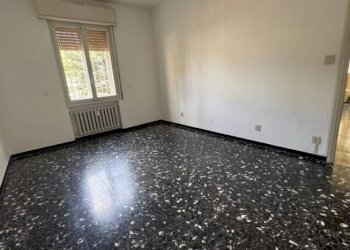 Trilocale Zola Predosa - foto 4