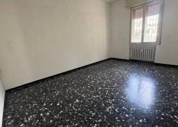 Trilocale Zola Predosa - foto 5