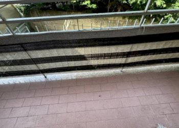 Trilocale Zola Predosa - foto 10