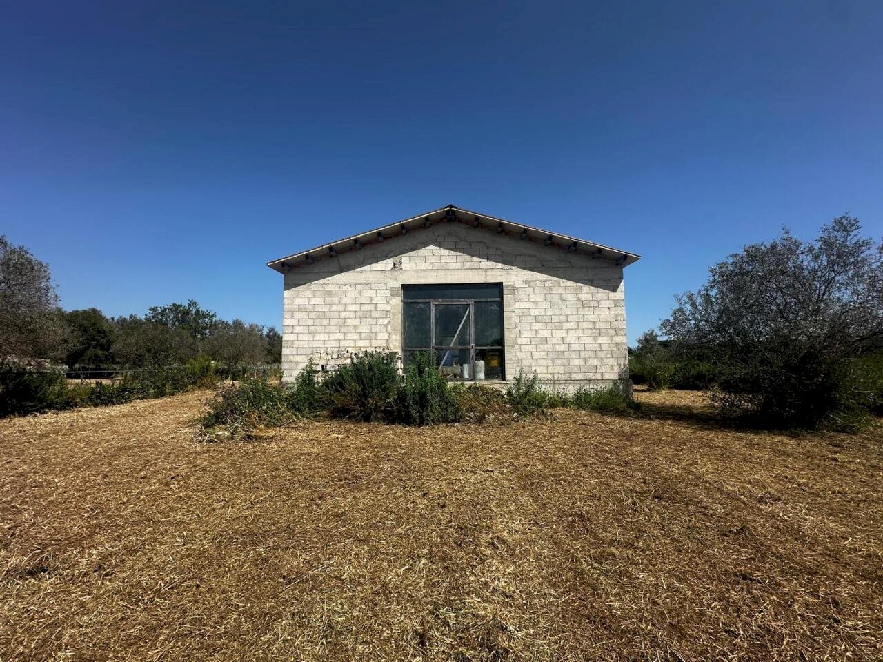 FOTO (9).jpg - Magazzino Cortile Catanzaro Pizzilli 29B, Modica - foto 3