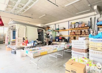 interno capannone - Capannone Via degli Arrotini 12, Livorno - foto 11