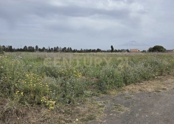 IMG_6903.jpg - Agricultural land Via Cavallo Marino, Catania - photo 2