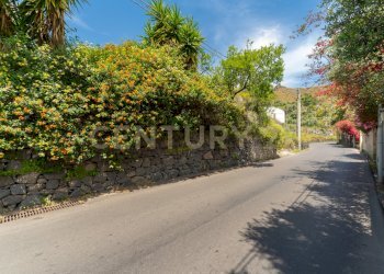 Terreno Vampolieri 7 (2).jpg - Terreno agricolo Via Vampolieri 14, Aci Castello - foto 5