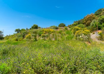 Terreno Vampolieri 7 (7).jpg - Terreno agricolo Via Vampolieri 14, Aci Castello - foto 11