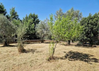 WhatsApp Image 2026-06-21 at 11.14.16 (4) - Villa Contrada Zancati Nuovo, Paliano - photo 10