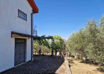 WhatsApp Image 2026-06-21 at 11.14.17 (6) - Villa Contrada Zancati Nuovo, Paliano - photo 13