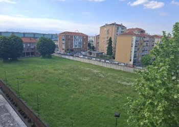 20260430_172440.jpg - Two-room apartment Via Genova 166, Torino (neighborhood Nizza Millefonti) - photo 17