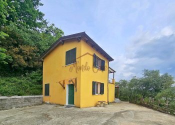 IMG-20260513-WA0016(1).jpg - Villa Via Lavaggia 13, Vezzano Ligure - photo 1
