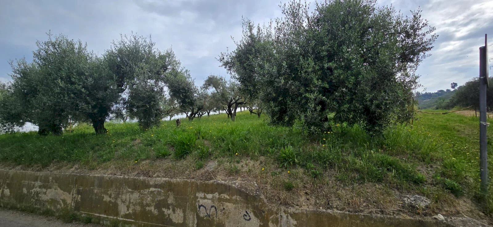 Terreno edificabile Via Lazio, San Giovanni Teatino - foto 1