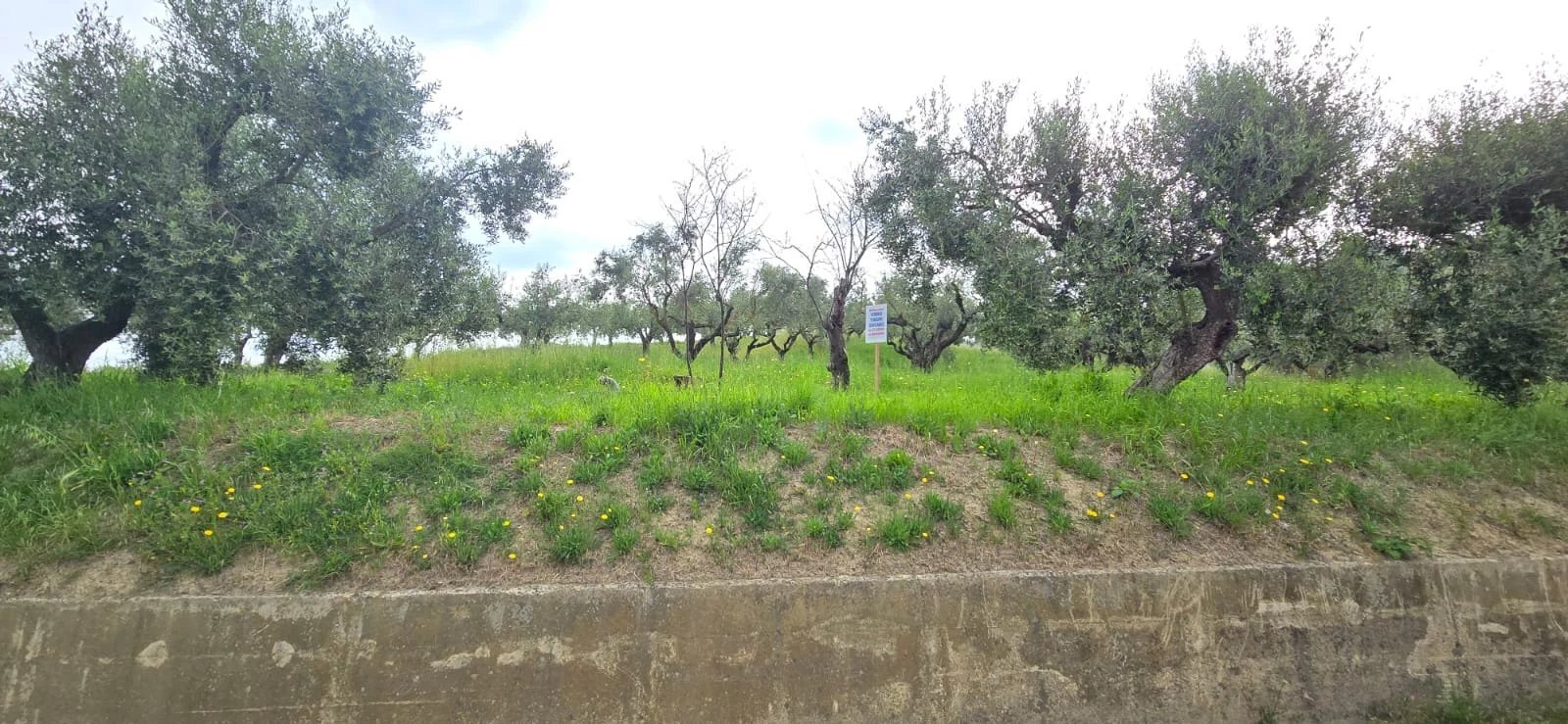 Terreno edificabile Via Lazio, San Giovanni Teatino - foto 2