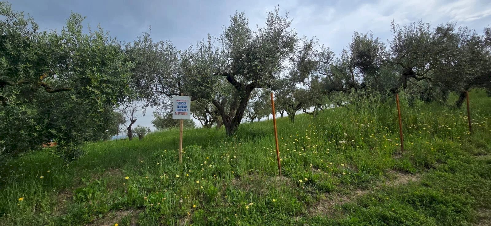 Terreno edificabile Via Lazio, San Giovanni Teatino - foto 3