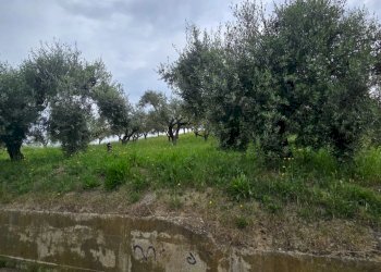 Terreno edificabile Via Lazio, San Giovanni Teatino - foto 1