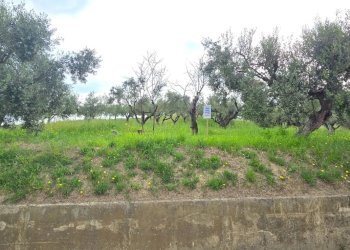 Terreno edificabile Via Lazio, San Giovanni Teatino - foto 2