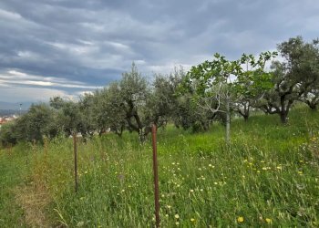 Terreno edificabile Via Lazio, San Giovanni Teatino - foto 6