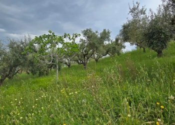 Terreno edificabile Via Lazio, San Giovanni Teatino - foto 7