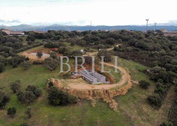 Villa Telti - photo 10