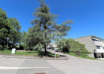 Villa a Schiera Casalecchio di Reno - foto 14
