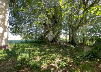 Rustico Via Cavalle, Baricella - foto 12