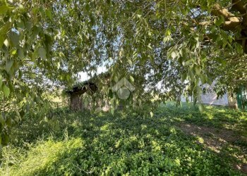 Rustico Via Cavalle, Baricella - foto 15