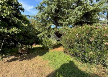 Semi-detached house Vicolo Palestro, Bruno - photo 4