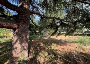 Semi-detached house Vicolo Palestro, Bruno - photo 26
