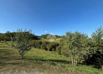 Casa indipendente Frazione Quartino, Calamandrana - foto 38