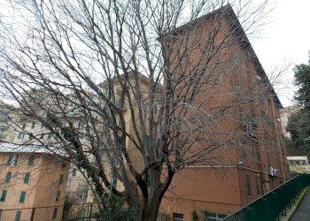 Foto 20 - Appartamento Vico Chiuso Cinque Santi, Genova - foto 18