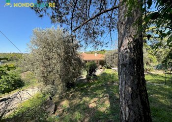 Foto 12 - Villa Strada degli inglesi, Fara in Sabina - photo 12
