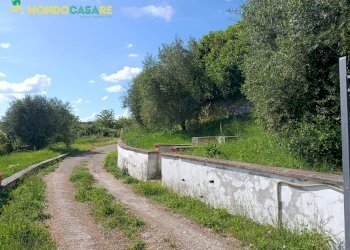 Foto 57 - Villa strada vicinale san matteo, Monterotondo - photo 57