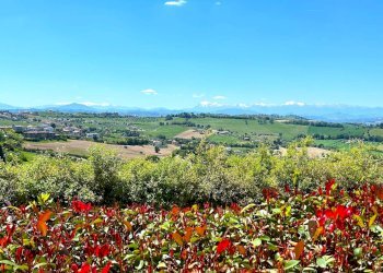 Foto 24 - Appartamento via Giotto
 
snc, Fermo - foto 24