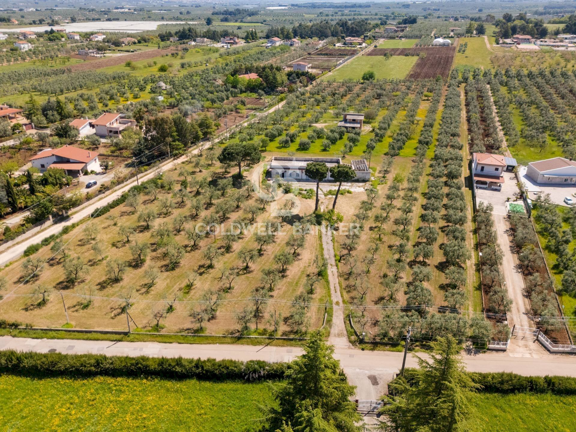 Foto 1 - Villa Strada esterna Regio Bosco Comunale
 
13, Corato - photo 1