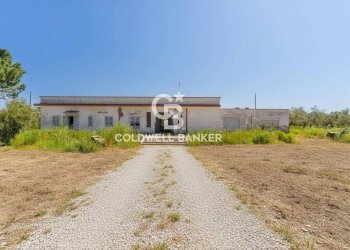 Foto 5 - Villa Strada esterna Regio Bosco Comunale
 
13, Corato - photo 5