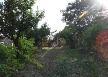 Giardino - Casa indipendente Contrada Rizzacorno
 
4, Lanciano - foto 11