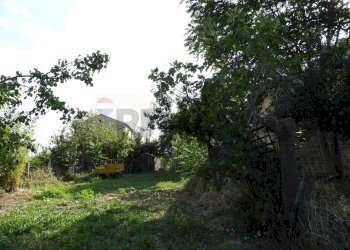 Giardino - Casa indipendente Contrada Rizzacorno
 
4, Lanciano - foto 12