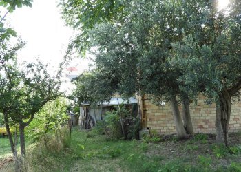 Giardino - Casa indipendente Contrada Rizzacorno
 
4, Lanciano - foto 13