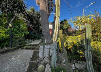 Giardino - Casa semi indipendente Contrada Vallevò
 
175, Rocca San Giovanni - foto 72