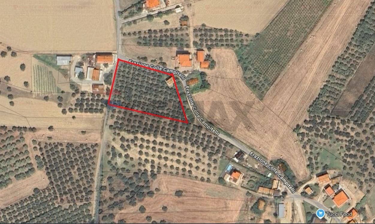 Posizione della mappa - Rustico Colle Campitelli
 
snc, Lanciano - foto 3