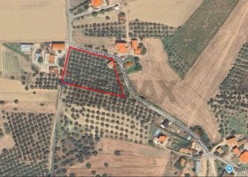 Posizione della mappa - Rustico Colle Campitelli
 
snc, Lanciano - foto 3