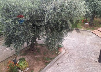 Giardino - Appartamento Contrada Mozzoni
 
12, Treglio - foto 22