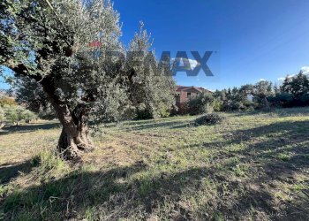 Giardino - Independent house C.da Villa Elce
 
83, Lanciano - photo 41