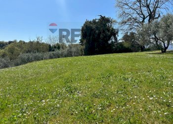 Giardino - Villa C.da Ritiro, Orsogna - foto 13