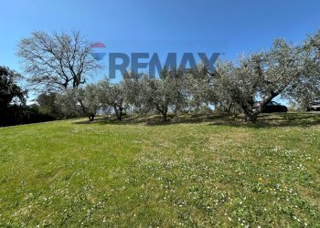 Giardino - Villa C.da Ritiro, Orsogna - foto 14