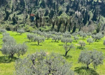 Vista delle montagne - Villa C.da Ritiro, Orsogna - foto 21