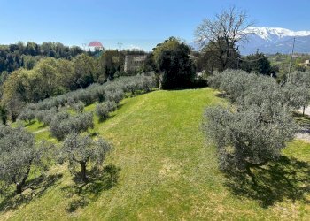 Giardino - Villa C.da Ritiro, Orsogna - foto 22