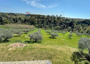 Vista delle montagne - Villa C.da Ritiro, Orsogna - foto 40