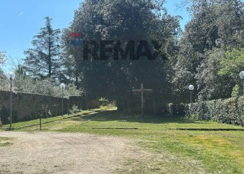 Giardino - Villa C.da Ritiro, Orsogna - foto 46