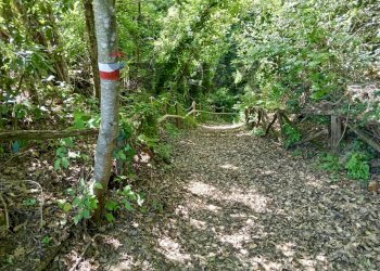Giardino - Villa C.da Ritiro, Orsogna - foto 52