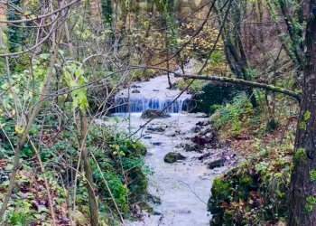 Giardino - Villa C.da Ritiro, Orsogna - foto 53